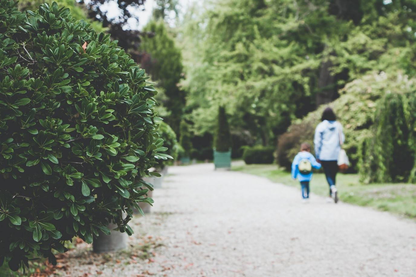 5 Wonderful Pickup and Drop Off Routines You Should Try