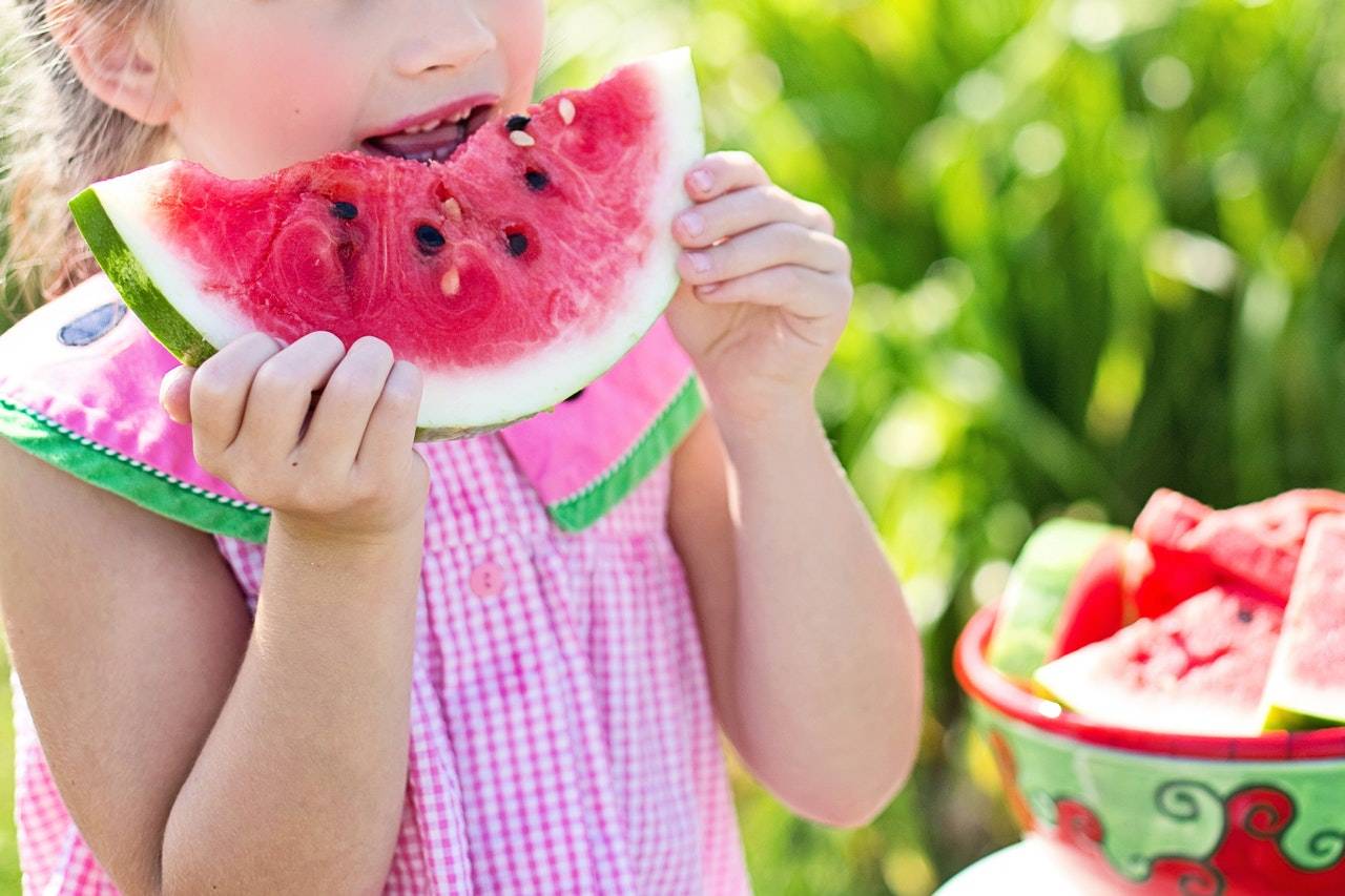 Our Nutrition Healthy Meals Bush Kidz Early Learning Centre