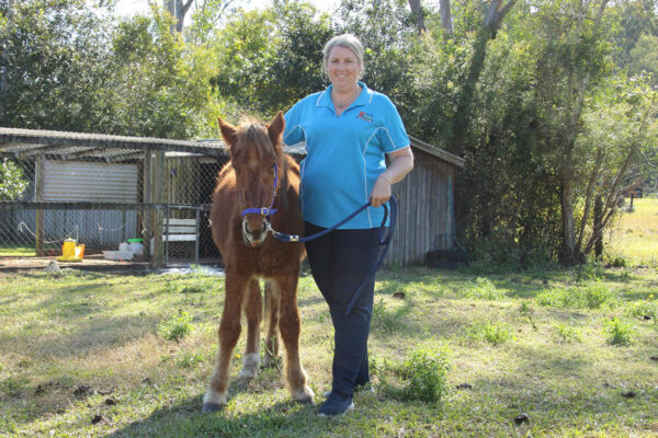 Junior Farmers – Blacksoil Centre