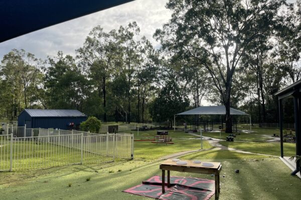 Bush Kidz BlackSoil