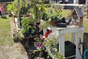 Community Garden