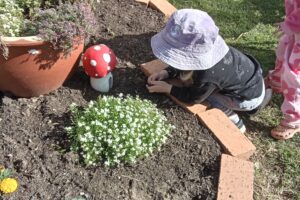 Garden Plants Blacksoil