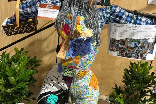 Ipswich show winner