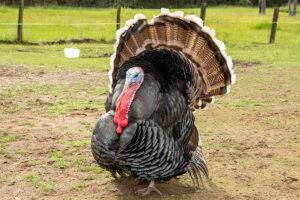 best daycares near me