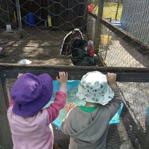 child care centres brassall