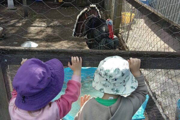 child care centres brassall