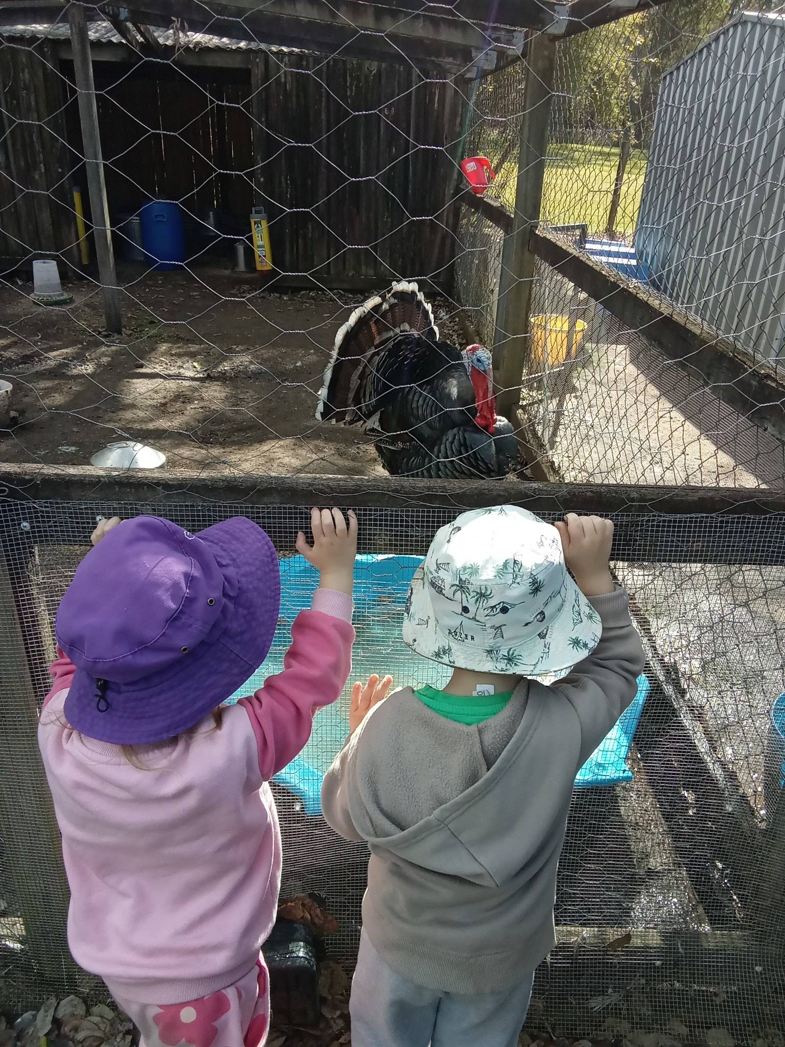 child care centres brassall