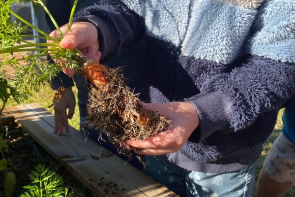 Green thumbs